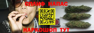 гидра Гусиноозёрск