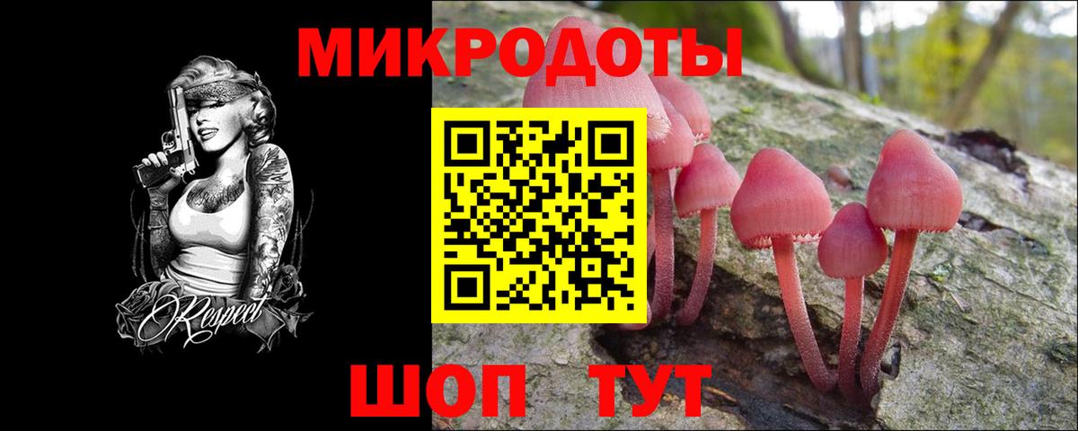 Псилоцибиновые грибы Cubensis  Вход с VPN  Наро-Фоминск 